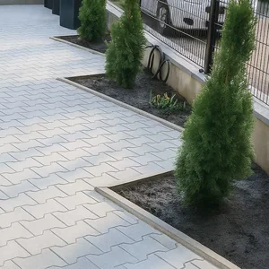 Icon PKW-Stellplatz im Hof